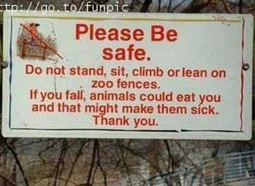 Animals
