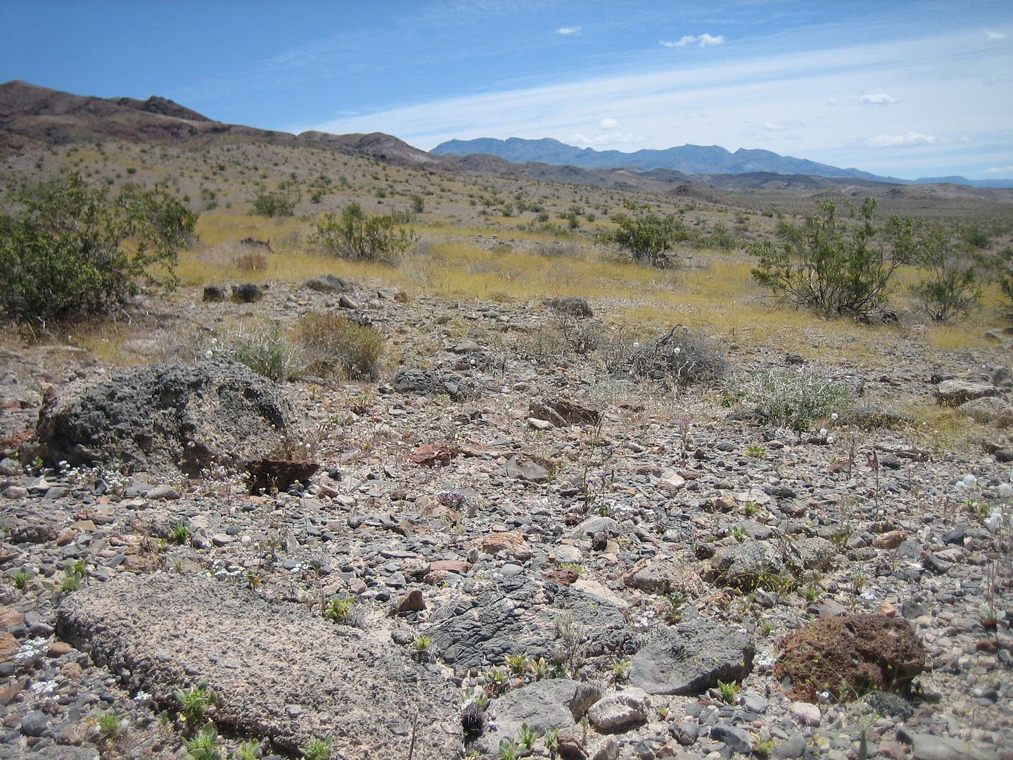 IMG_3830.jpg