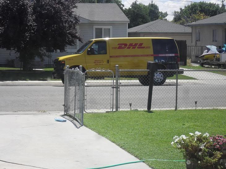 DHL.jpg