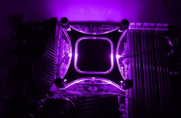 DarkerPurple.jpg