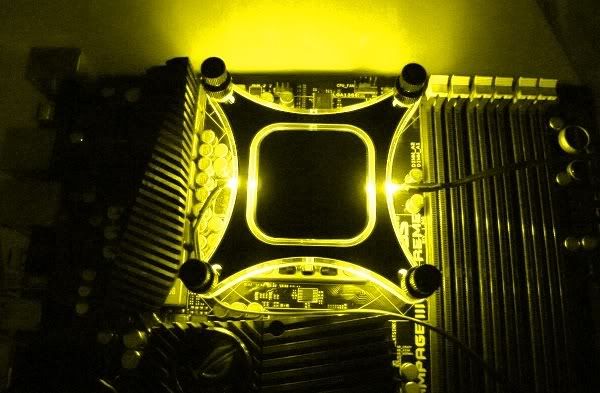yellow.jpg