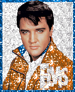 Diverse Elvis Site's
