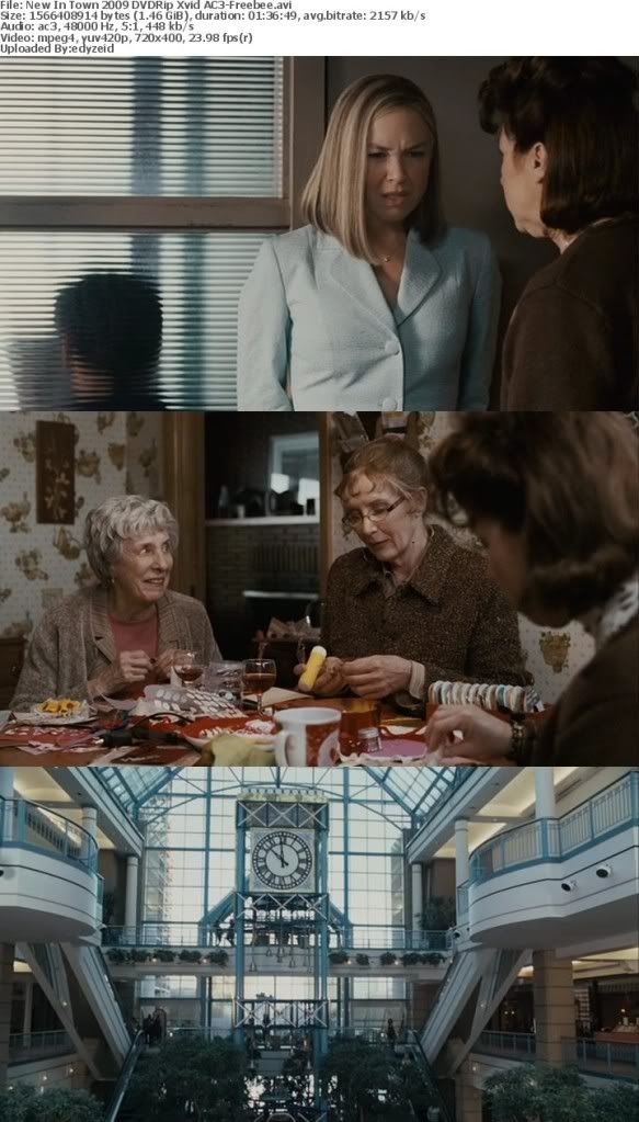 New In Town 2009 DVDRip Xvid AC3-Freebee