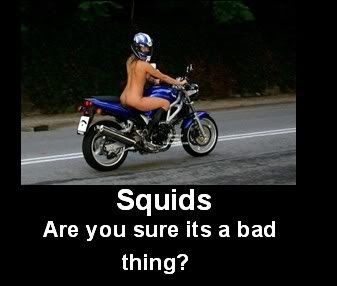 Squids.jpg