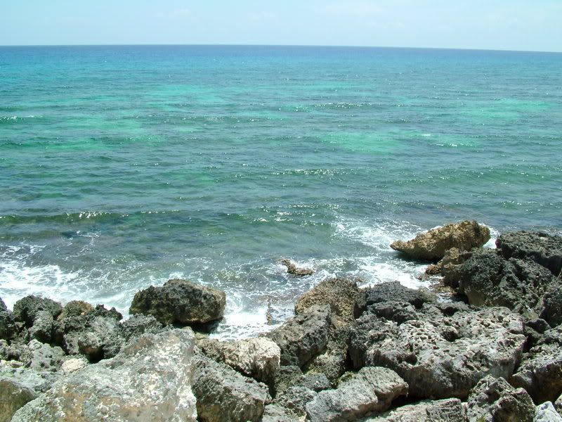 The East Coast of Cozumel