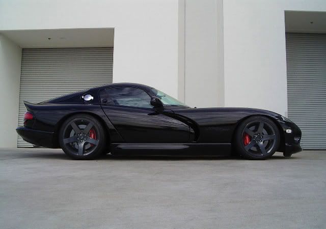 all black viper