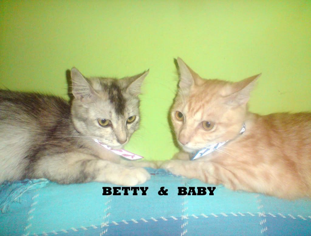 BabyandBetty.jpg picture by rozzy_gee_photos
