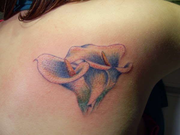 arm calla lily tattoo designs,koi tattoo,angle tattoos:I got the tattoo