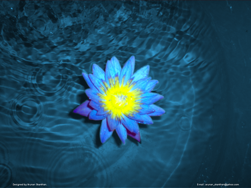 wallpapers blue. lotus wallpapers. lue