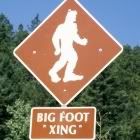 bigfootAV.jpg
