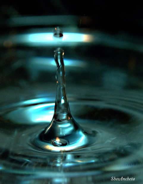 high speed photography photo: wd7.jpg
