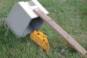 Taco Trap