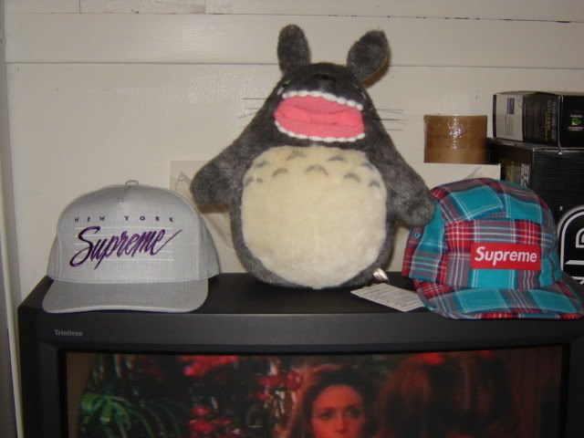 DSC01133.jpg