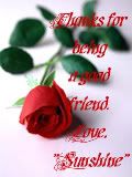 red rose friendship
