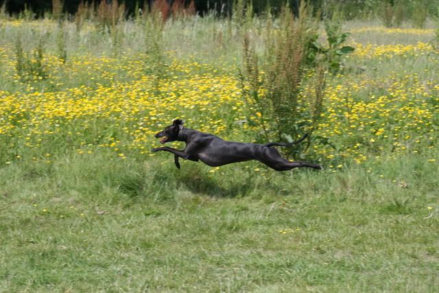 IMAGE: http://i133.photobucket.com/albums/q54/maypole_photos/IMG_0373-1.jpg