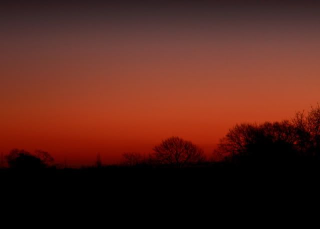 IMAGE: http://i133.photobucket.com/albums/q54/maypole_photos/dawn2.jpg