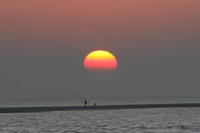 IMAGE: http://i133.photobucket.com/albums/q54/maypole_photos/sunset5.jpg