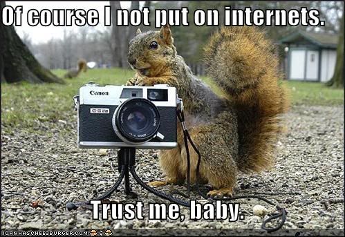 funny-pictures-creepy-squirrel-came.jpg