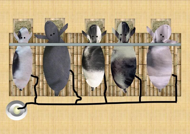 Calling all Goat Lovers!!!!! - Goats