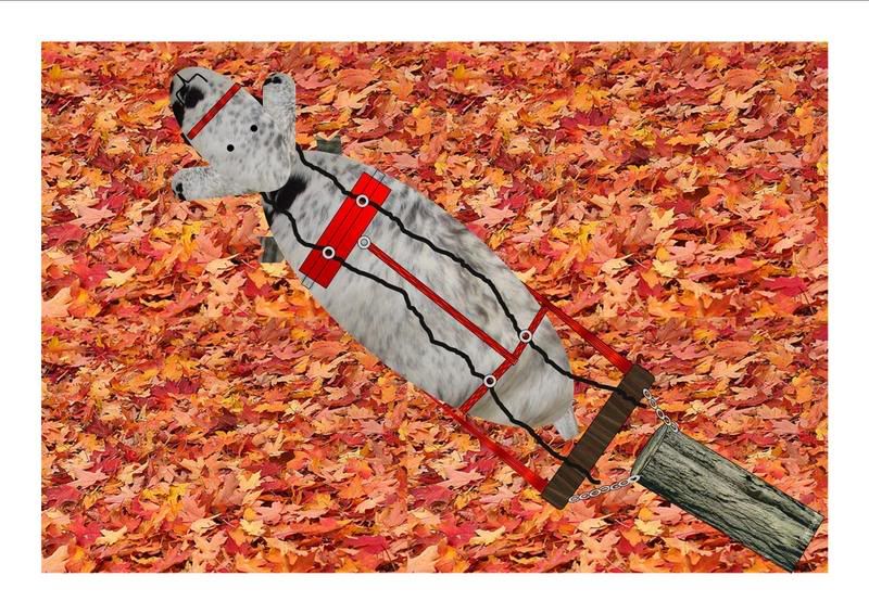 Calling all Goat Lovers!!!!! - Goats