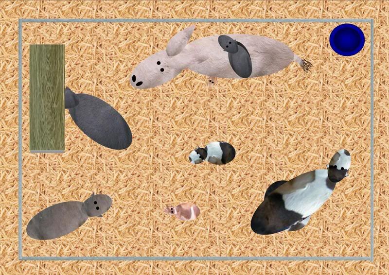 Calling all Goat Lovers!!!!! - Goats