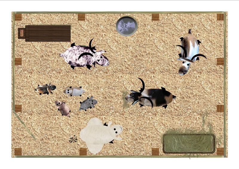 Calling all Goat Lovers!!!!! - Goats