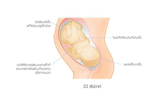 สามสิบสามอาทิตย์