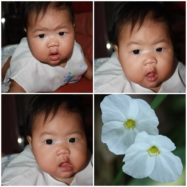 อีกไม่กี่วันจะห้าเดือนแล้วนะ Lady Rica