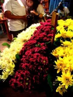 เมื่อฉันได้ไปอัมพวา