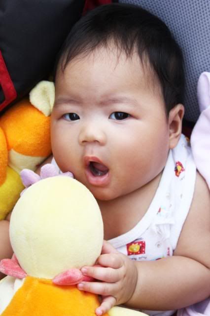 เรื่องไม่ง่ายกับ Lady Rica