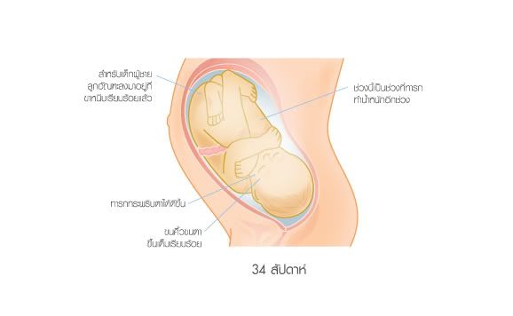 34 อาทิตย์ และ tag น่ารักๆ