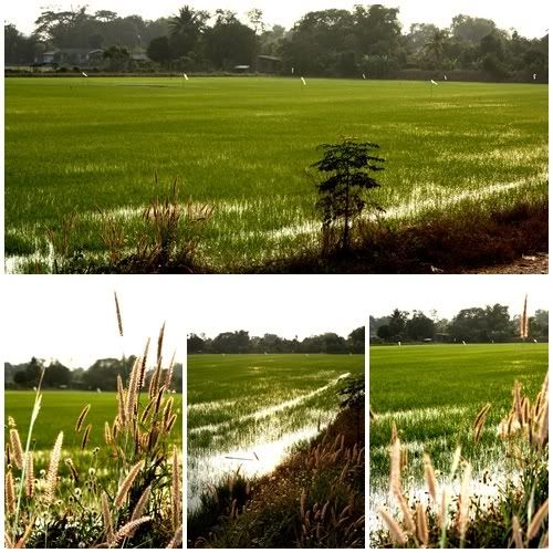 เมื่อกูถ่ายรูปเยอะ