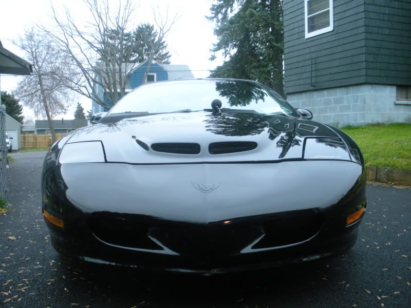 http://i133.photobucket.com/albums/q59/firehawk496/CarSalePics014-1.jpg