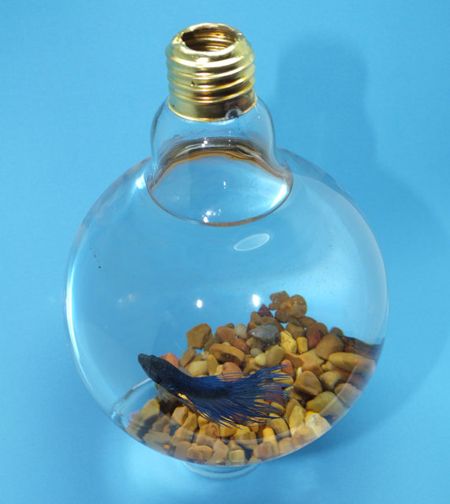 Light Bulb Fish Bowl Tank