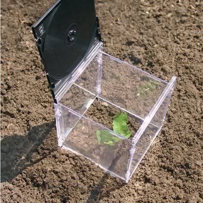 CD Case Garden Cloche