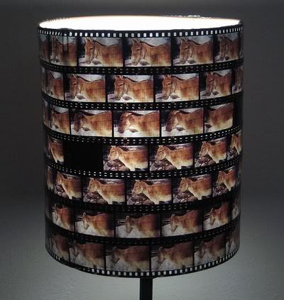 Lampshade Made of Negatives