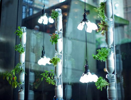 Indoor Gardening: DIY Projects with Upcycled Materials