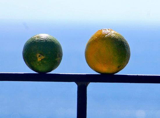 Be Balanced
