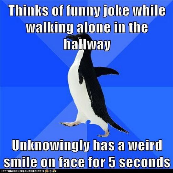 I Can Haz Cheezburger