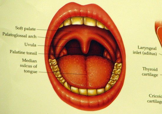 Social Media in Medicine