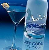 grey goose Pictures, Images and Photos