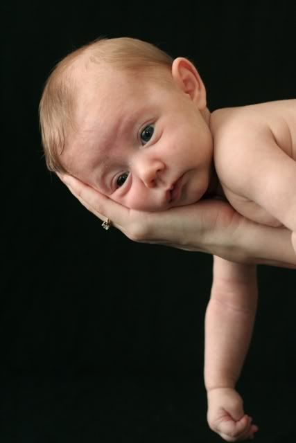 IMAGE: http://i133.photobucket.com/albums/q62/skeeterduck/1013.jpg