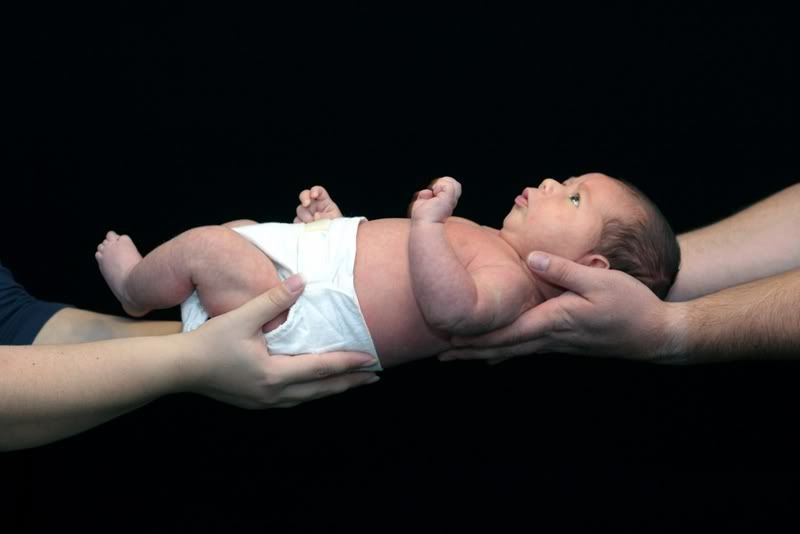 IMAGE: http://i133.photobucket.com/albums/q62/skeeterduck/1016.jpg