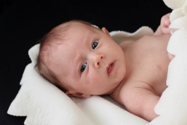 IMAGE: http://i133.photobucket.com/albums/q62/skeeterduck/1017.jpg