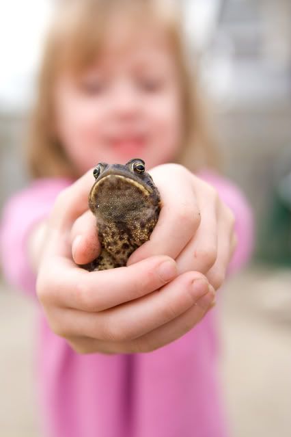 IMAGE: http://i133.photobucket.com/albums/q62/skeeterduck/IMG_6378.jpg