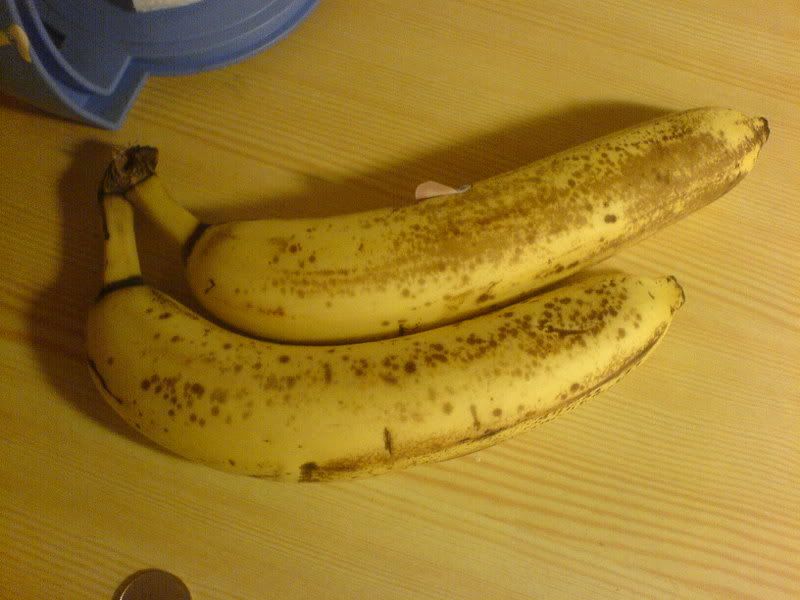 DSC01456.jpg?t=1165350943