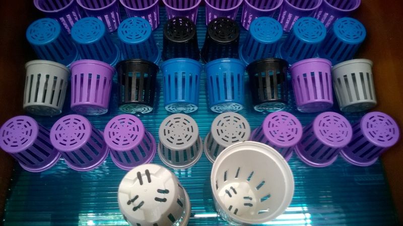 máng thủy canh HÀN QUỐC - 2