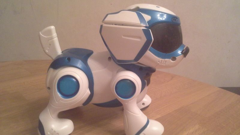 user posted image