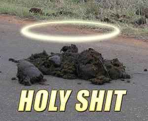 holy_shit-2.jpg