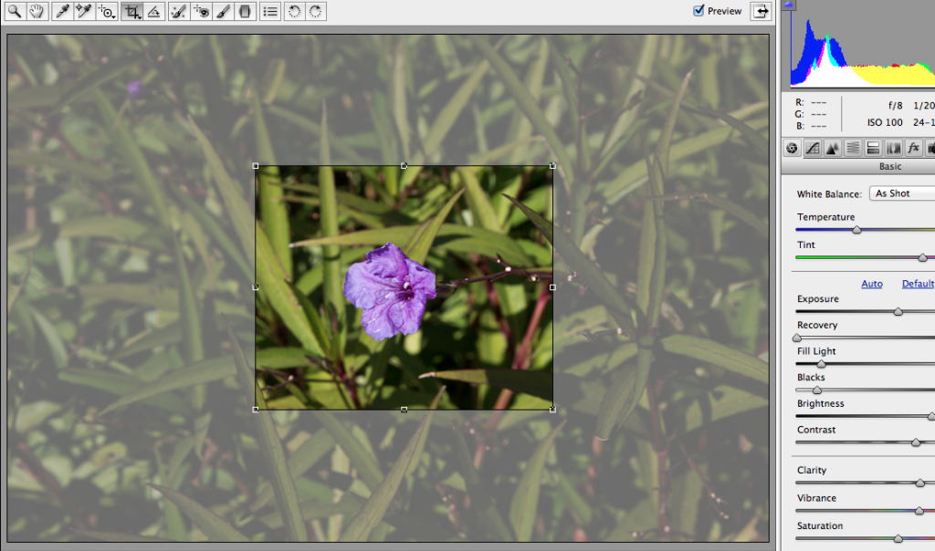 IMAGE: http://i133.photobucket.com/albums/q64/yitzachm/ScreenShot2013-02-11at75520PM.png